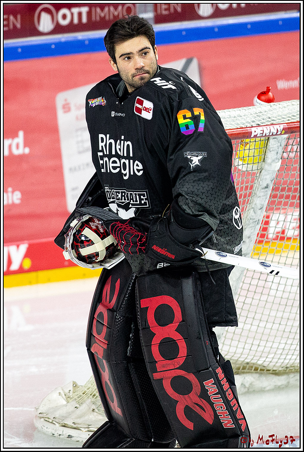 PENNY DEL;  Koelner Haie - Fischtown Pinguins Bremerhaven; Koeln, 17.01.2021
